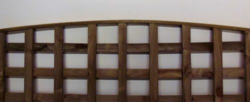 Arch Trellis